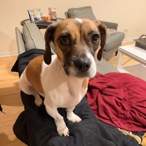 Meet your Posher, Kelly